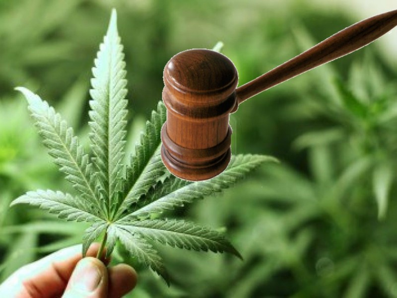 Precedente judicial y consumo lúdico de marihuana en México